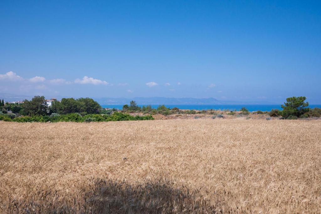Villa Bimini Argaka Zewnętrze zdjęcie