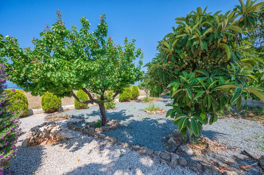 Villa Bimini Argaka Zewnętrze zdjęcie